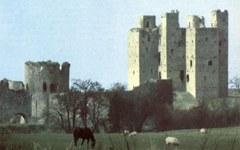 unknow artist Trim Castle